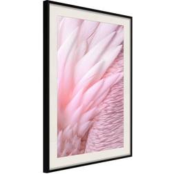 Arkiio Affisch Feathers [Poster] 40x60 Poster